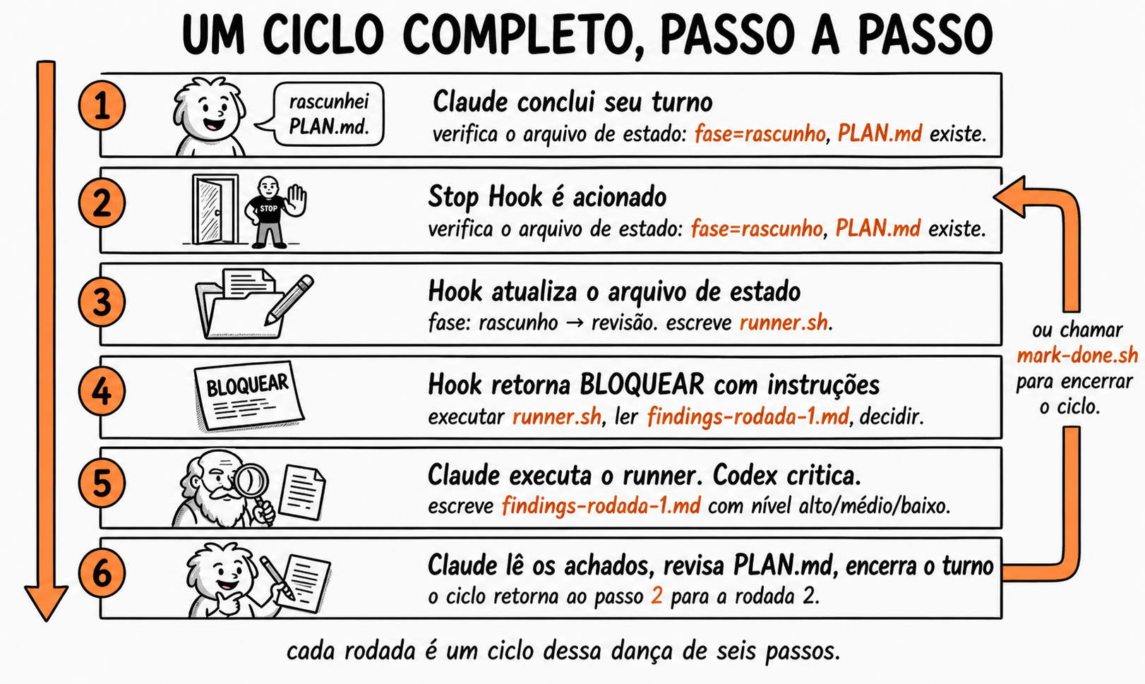 Ciclo completo